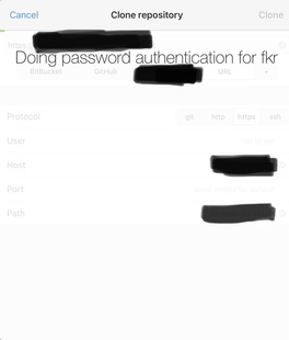 WorkingCopy Auth